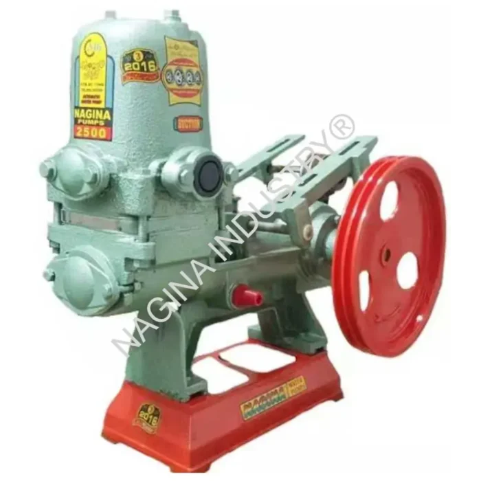 NAGINA Piston Pump (3F BEARING FD)(GD-2500) SIZE: 1¼×1¼ - Image 1