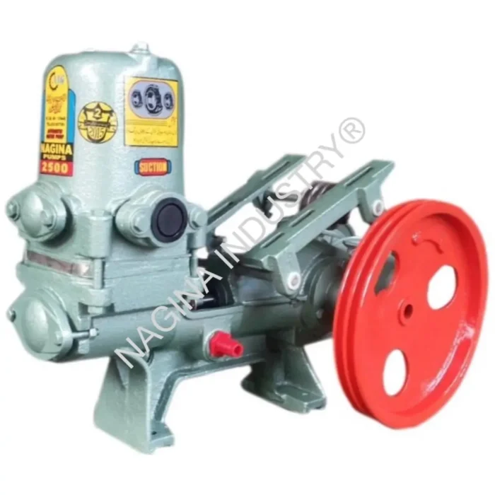 NAGINA Piston Pump (3F BEARING)(GD/NG-2500) SIZE: 1¼×1¼ - Image 1