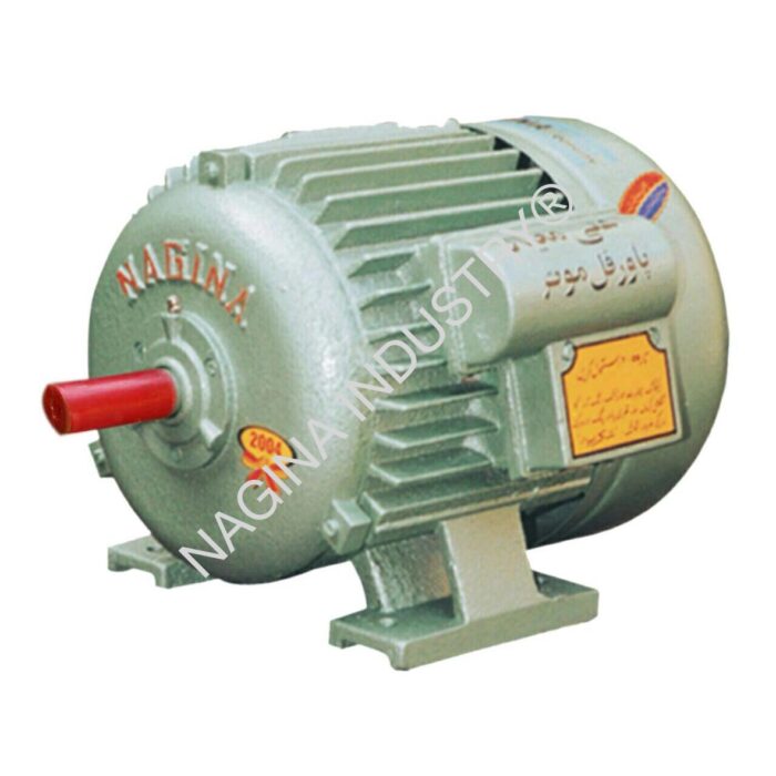 NAGINA Electric Motors: SIZE: 1 HP - Image 1