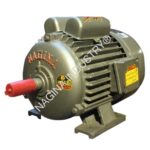 NAGINA Electric Motors: SIZE: 1½ HP