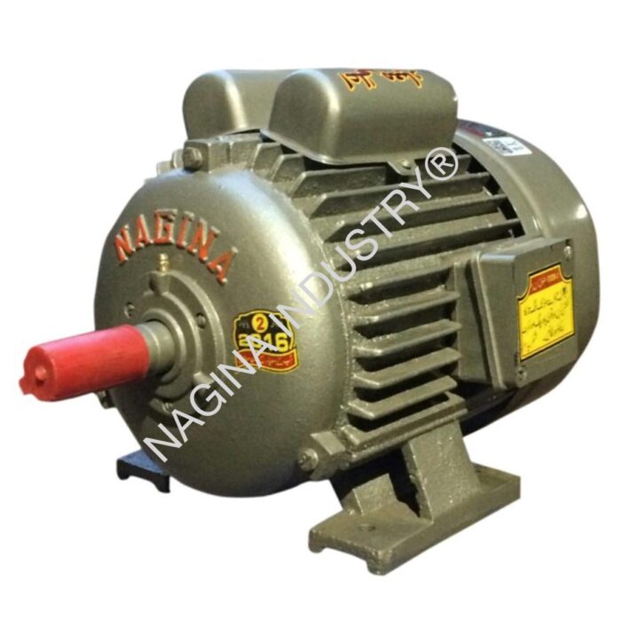 NAGINA Electric Motors: SIZE: 1½ HP - Image 1