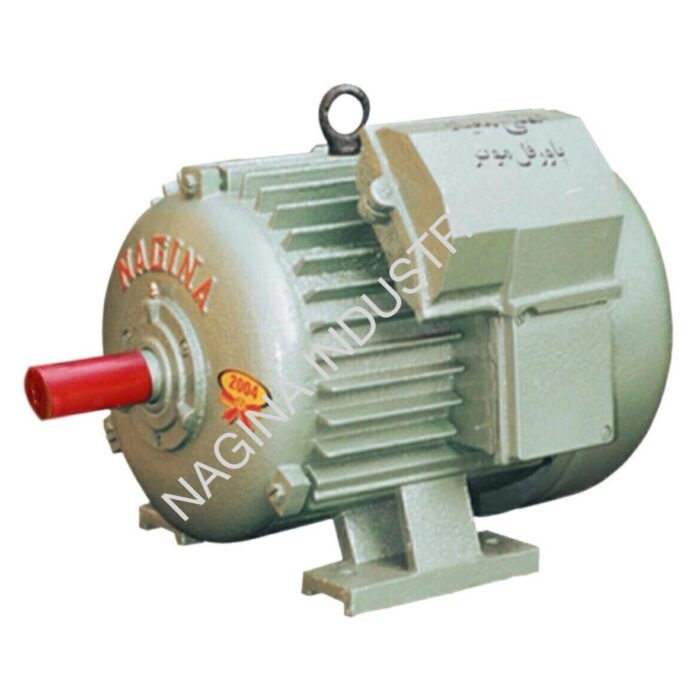 NAGINA Electric Motors: SIZE: 2 HP - Image 1