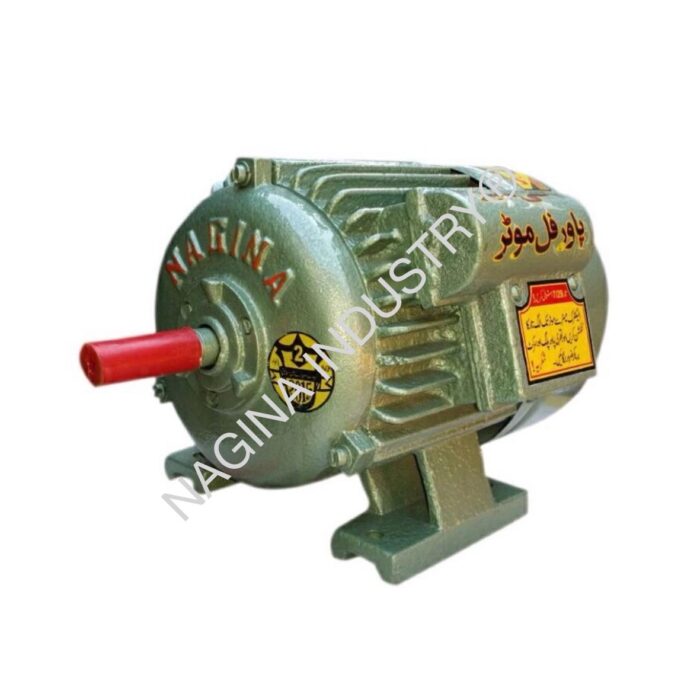 NAGINA Electric Motors: SIZE: ½ HP - Image 1