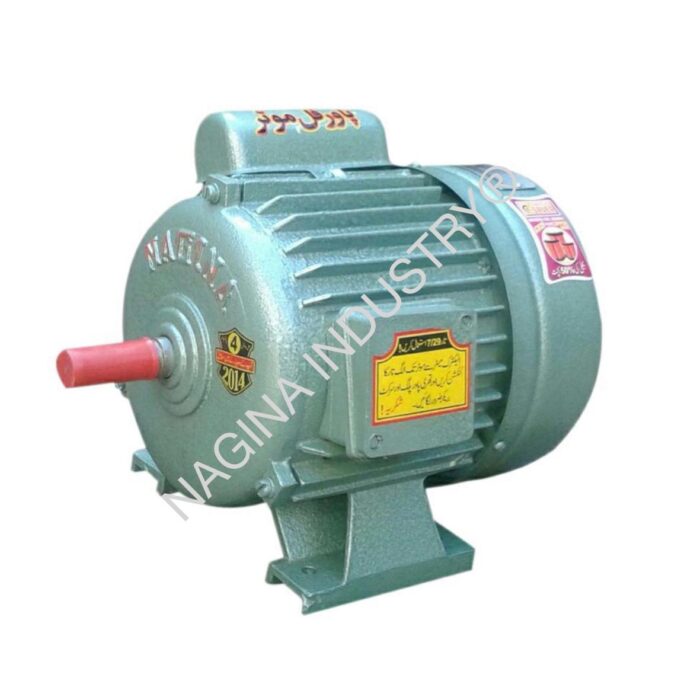 NAGINA Electric Motors: SIZE: ¾ HP - Image 1