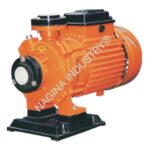 NAGINA Mono-Block Pumps(SS-2) 2 HP  SIZE: (1×1¼)